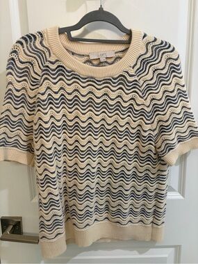 LOFT Wavy Stitch Raglan Sweater Tee